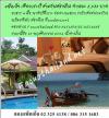 แพ็คเกจเที่ยวกระบี่ สามวันสองคืน 