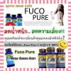 FUCO PURE นำเข้ามาจาก USA สามารถช่วยลดน้ำหนักส่วนเกิน 