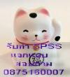 รับวิเคราะห์ราคาถูก SPSS LISREL AMOS, แจกแบบสอบถาม   0875160007