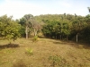 Sale Land near Beach on the lower hill with Chanote Title only Chumphon