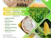 คอร์นสตาร์ช, โปเตโต้สตาร์ช, วีทสตาร์ช, CORN STARCH, POTATO STARCH, WHEAT STARCH