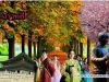 ทัวร์เกาหลี ราคาพิเศษ ถูกมาก เพียง 13,999 บาท/ท่าน 