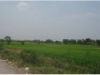 ขายที่ดินติดถนนหทัยราษฎร์ เขตปทุมธานี 38 ไร่ ใกล้หมู่บ้านสโรชา 