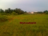 ขายที่ดิน 600 ตร.ว. ติดถนนคลองโต๊ะใหม่ โฉนดพร้อมโอน