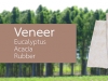 Eucalyptus Core Veneer good quality from Vietnam