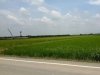ขายที่ดินติดถนนลำลูกกาคลอง 7-8 ที่ดิน 10 ไร่