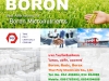 โบรอน, Boron, ผงจุลธาตุโบรอน, ปุ๋ยโบรอน, บอริกแอซิด