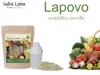 Lapovo สารสกัดจากผักและผลไม้ 188 ชนิด มีเอนไซม์