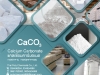 แคลเซียมคาร์บอเนต, Calcium Carbonate, CaCO3