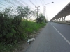 ขายที่ดินติดถนนบางนาตราดพื้นที่สี่ม่วง กม 44 เนื้อที่ 22 ไร่ขายถูกที่สุด 