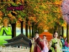 ทัวร์เกาหลี ราคาพิเศษ ถูกมาก เพียง 13,999 บาท/ท่าน 