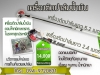 ขายเครื่องตัดปาล์มน้ำมัน นวัตกรรมใหม่ของเครื่องเก็บเกี่ยวผลผลิตปาล์ม 