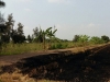 ขายที่ดินติดถนนคลองหลวง 11หนองเสือ เนื้อที่ 90 ไร่ ยกแปลง 25 ล้านบาท 