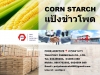 Corn Starch, คอร์นสตาร์ช, คอร์นสตาร์ท, สตาร์ชข้าวโพด, แป้งข้าวโพด