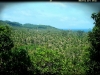 ขายที่ดินมีโฉนด เกาะสมุย บางปอ ซ.1 ต.แม่น้ำ คลิ๊กเลย!!Hillside with Sea view ) - 