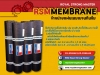 เมมเบรนกันซึม เมมเบรนมีกาว เมมเบรนเป่าไฟ เมมเบรนกันซึมดาดฟ้า  MEMBRANE RSM