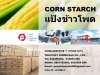 แป้งข้าวโพด, Corn Starch, แป้งข้าวโพดจีน, 