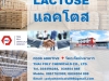 แลคโตส, Lactose, แลคโตสเกรดอาหาร, Edible Lactose, เกรดอาหาร, วัตถุเจือปนอาหาร