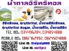 อิริทริทอล, น้ำตาลอิริทริทอล, น้ำตาลคีโต, น้ำตาลอิริท, Erythritol