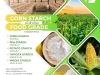 CORN STARCH, PEA STARCH, POTATO STARCH, WHEAT STARCH, NATIVE STARCH