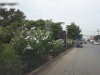 ที่ดินถนนเลียบคลองสอง ซาฟารีเวิลด์   เขตคลองสามวา กรุงเทพฯ เนื้อที่ 10 ไร่