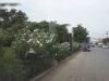 ขายที่ดินติดแม่น้ำเจ้าพระยาพื้นที่สีม่วง 76 ไร่ ติดถนนบางกะดี่ 