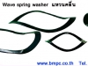 linch PIN, Belleville washer, circlip ring, น๊อตล๊อก, แหวนพับ, Tab washer, Ensat