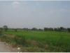 ขายที่ดินคลองสี่คลองหลวงปทุมธานี ใกล้วงแหวน 4 ไร่ ใกล้มอเตอร์เวย์