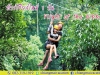 ทัวร์เชียงใหม่ 1 วัน  Flight of the Gibbon ลดราคาสุดๆ
