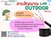 วิธีเลือกใช้สาย LAN ให้เหมาะสมกับการใช้งาน